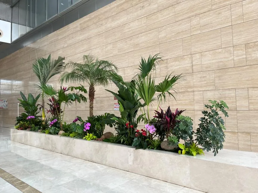 揭秘宁波杭州湾花木出租优质之选，这家值得你关注！